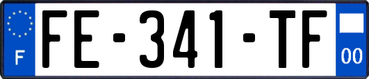 FE-341-TF