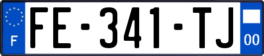 FE-341-TJ
