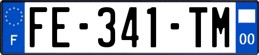 FE-341-TM