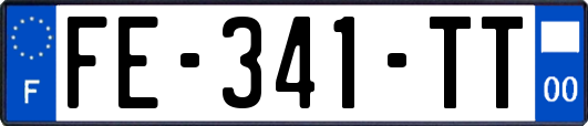 FE-341-TT