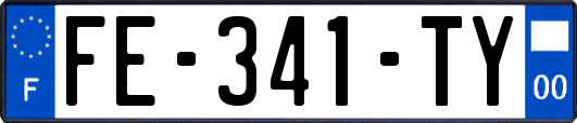 FE-341-TY
