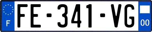FE-341-VG