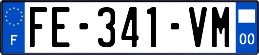 FE-341-VM