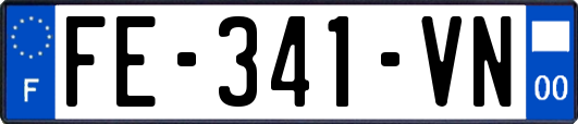 FE-341-VN