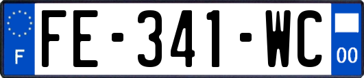 FE-341-WC