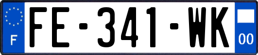 FE-341-WK
