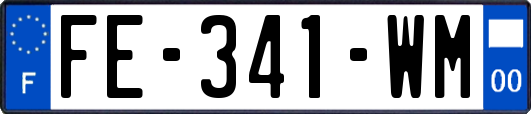 FE-341-WM