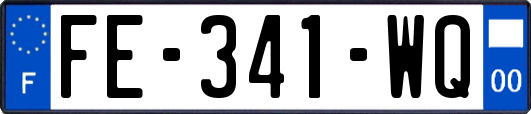 FE-341-WQ