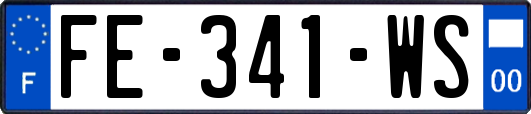 FE-341-WS