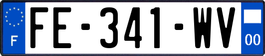 FE-341-WV