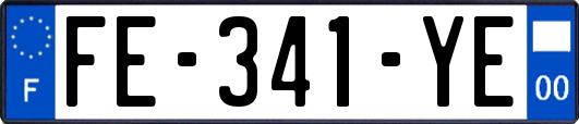 FE-341-YE