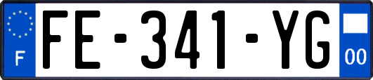 FE-341-YG