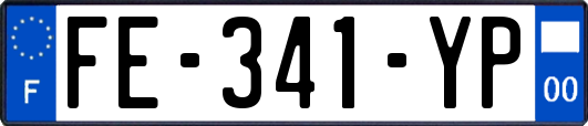 FE-341-YP