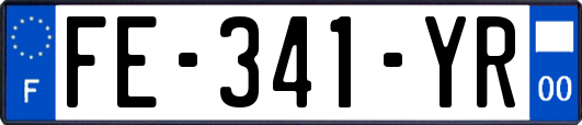 FE-341-YR