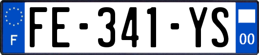 FE-341-YS