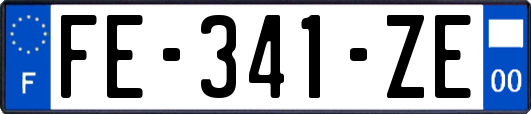 FE-341-ZE