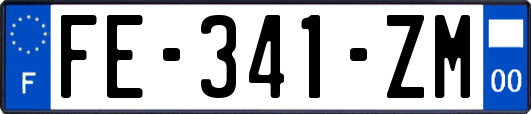FE-341-ZM