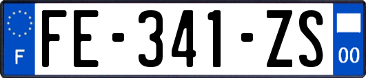 FE-341-ZS