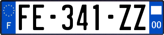 FE-341-ZZ