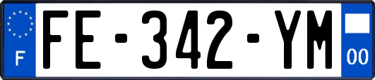 FE-342-YM