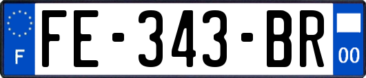 FE-343-BR