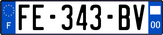 FE-343-BV