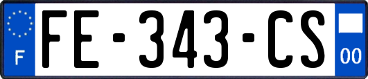 FE-343-CS