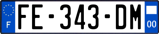 FE-343-DM