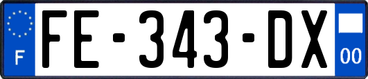 FE-343-DX