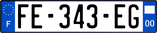 FE-343-EG
