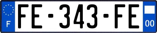 FE-343-FE