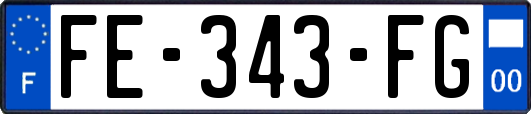 FE-343-FG