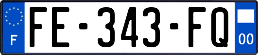 FE-343-FQ