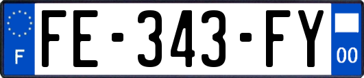 FE-343-FY