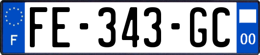 FE-343-GC