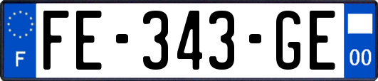 FE-343-GE