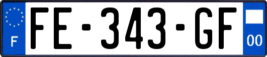 FE-343-GF