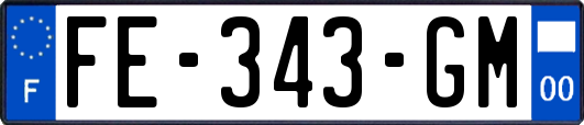 FE-343-GM