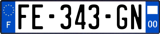 FE-343-GN