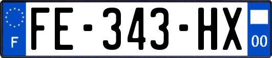 FE-343-HX