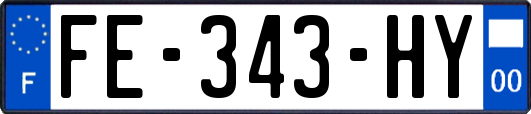 FE-343-HY
