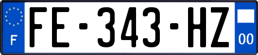 FE-343-HZ