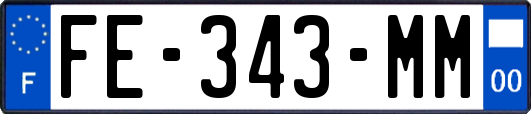 FE-343-MM