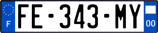 FE-343-MY