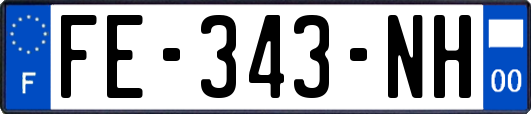 FE-343-NH