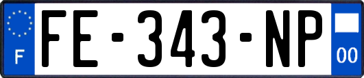 FE-343-NP
