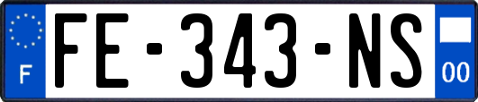 FE-343-NS