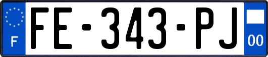 FE-343-PJ
