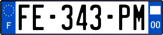 FE-343-PM