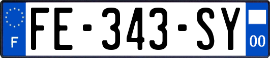 FE-343-SY